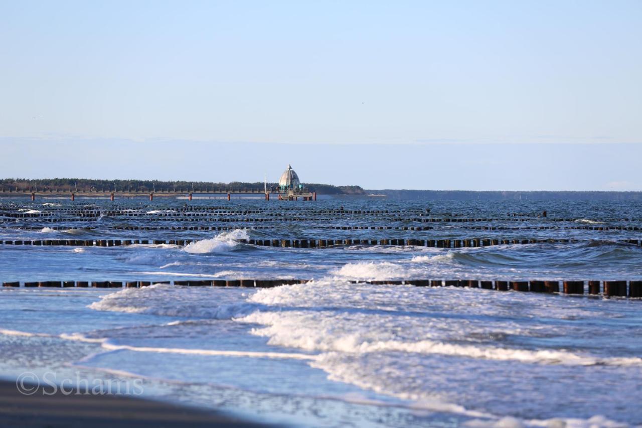 Ostseelagune Zingst, Exklusive Dhh, Strandnah, Sauna, Kamin, 3 Sz, 2 Baeder, Glasfaser, Haustierfrei, Garten Mit Suedterrasse, E-Ladesaeule, 2 Stellplaetze, Strandkorb, Fahrradschuppen, Waschmaschine, Trockner, Nichtraucher Extérieur photo