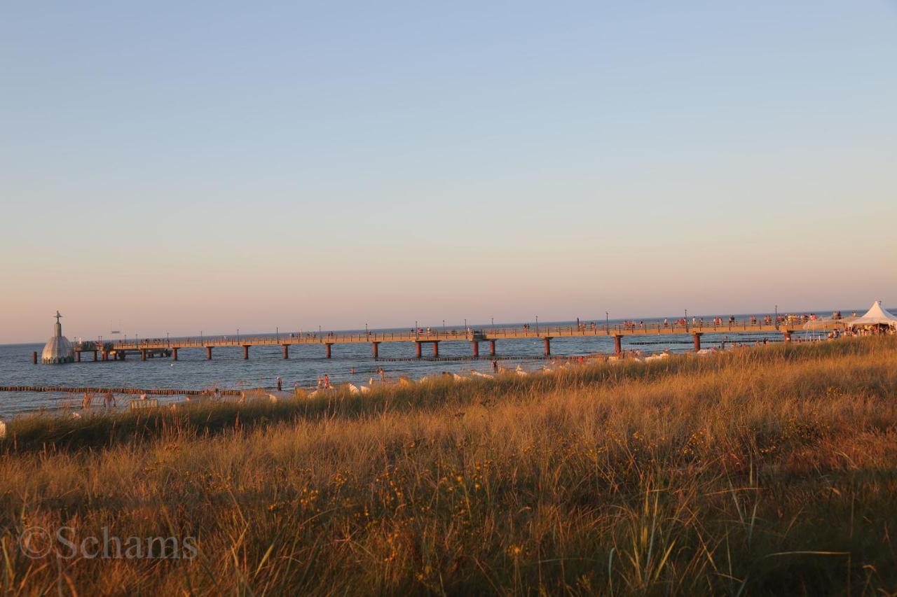 Ostseelagune Zingst, Exklusive Dhh, Strandnah, Sauna, Kamin, 3 Sz, 2 Baeder, Glasfaser, Haustierfrei, Garten Mit Suedterrasse, E-Ladesaeule, 2 Stellplaetze, Strandkorb, Fahrradschuppen, Waschmaschine, Trockner, Nichtraucher Extérieur photo