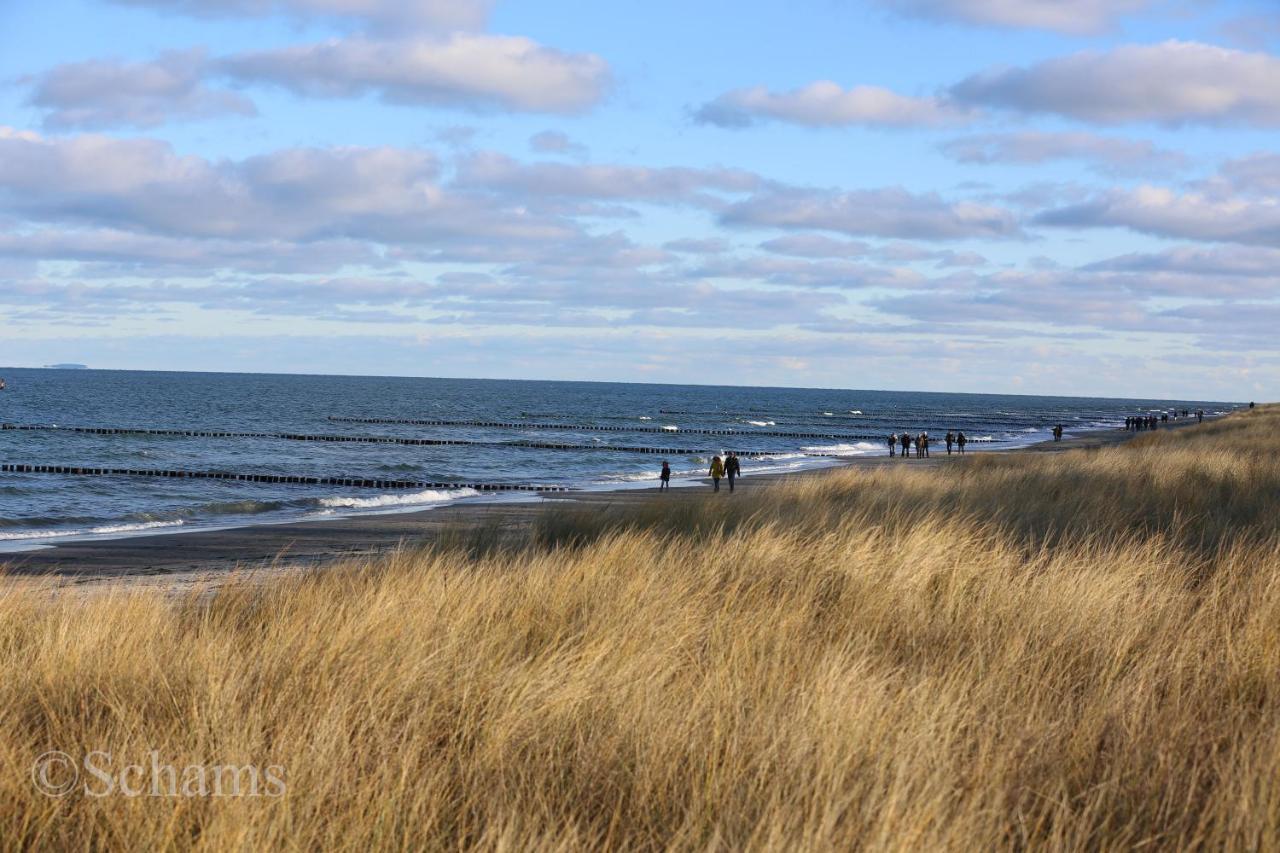 Ostseelagune Zingst, Exklusive Dhh, Strandnah, Sauna, Kamin, 3 Sz, 2 Baeder, Glasfaser, Haustierfrei, Garten Mit Suedterrasse, E-Ladesaeule, 2 Stellplaetze, Strandkorb, Fahrradschuppen, Waschmaschine, Trockner, Nichtraucher Extérieur photo