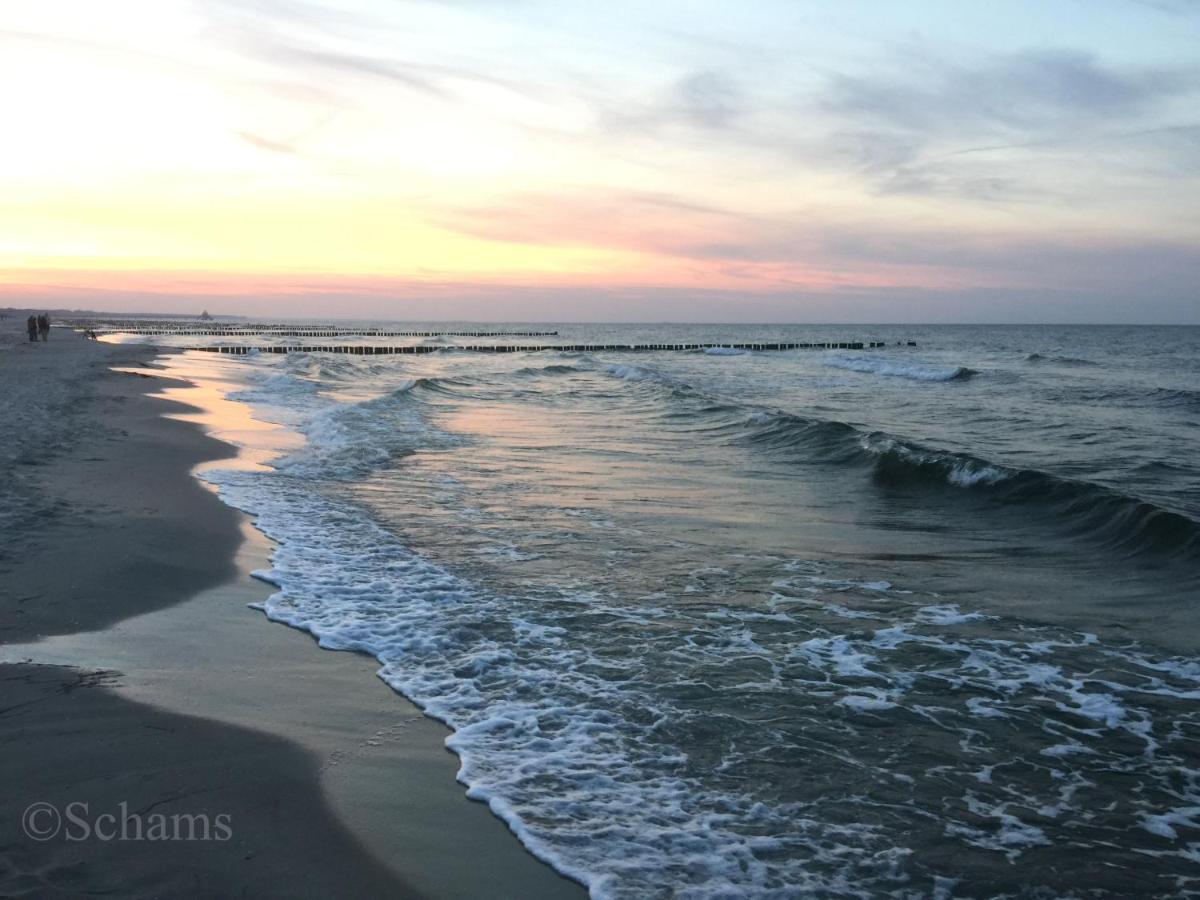 Ostseelagune Zingst, Exklusive Dhh, Strandnah, Sauna, Kamin, 3 Sz, 2 Baeder, Glasfaser, Haustierfrei, Garten Mit Suedterrasse, E-Ladesaeule, 2 Stellplaetze, Strandkorb, Fahrradschuppen, Waschmaschine, Trockner, Nichtraucher Extérieur photo